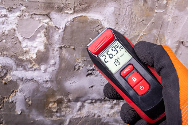 Best Industrial Mold Remediation in Pine Bush, NY