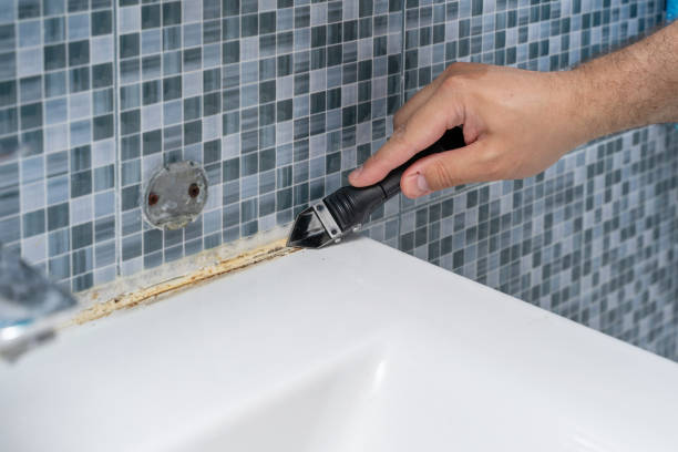 Best Post-Flood Mold Remediation in Pine Bush, NY